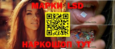 индика Партизанск