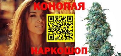 индика Партизанск